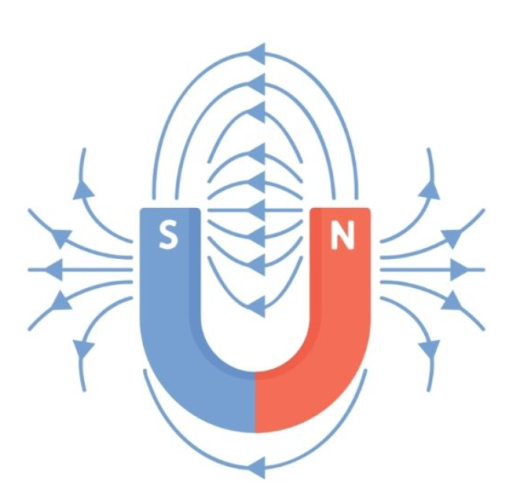 magnetic field of a horseshoe magnet